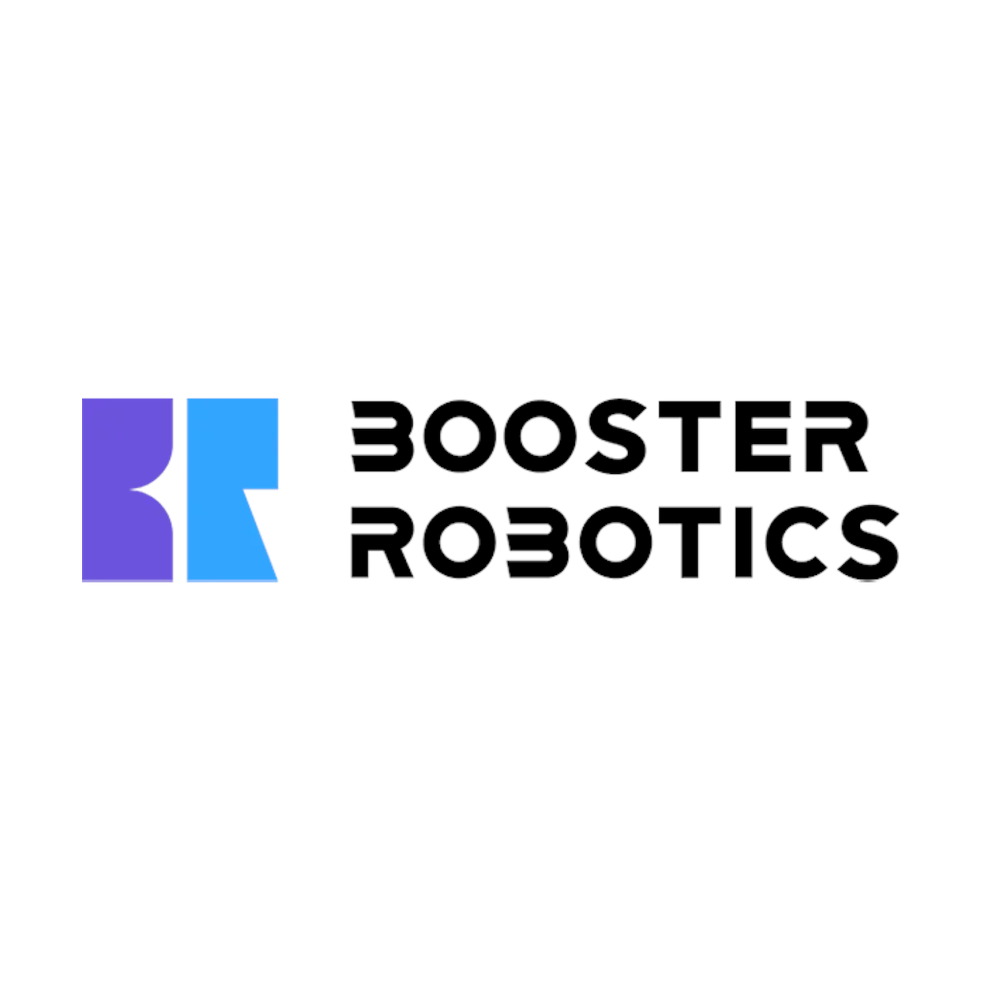 Booster K1 Battery