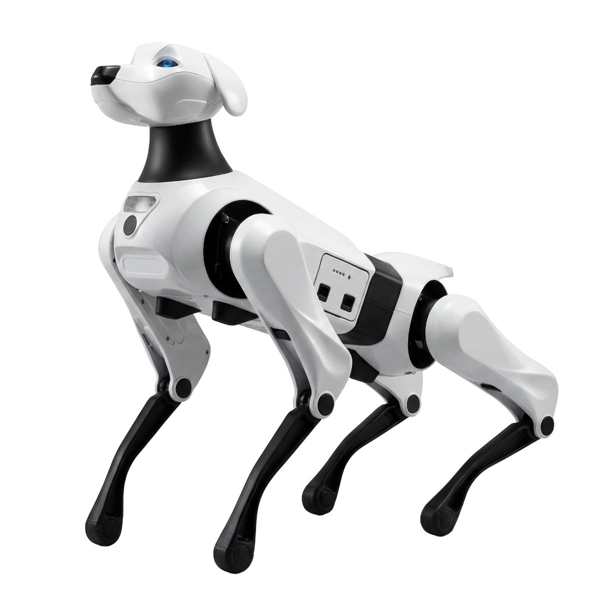 AiMOGA Argos X1 Quadruped