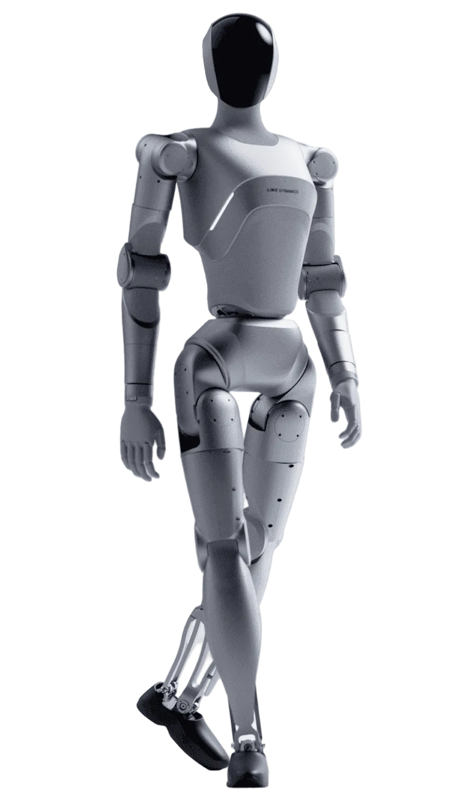 LimX Luna Humanoid Robot